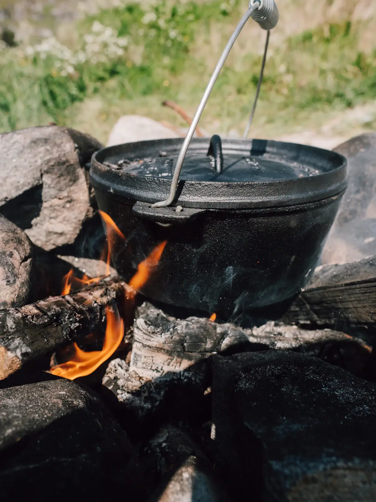 grilled meat and vegetable on the table